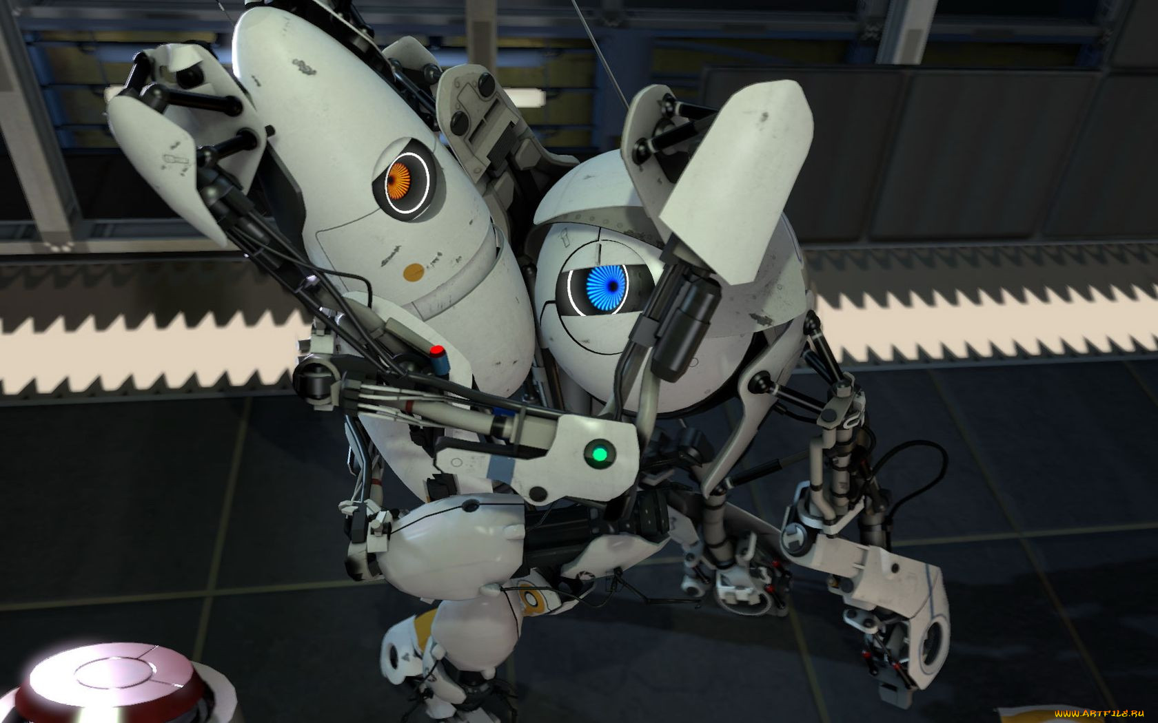 portal, , 